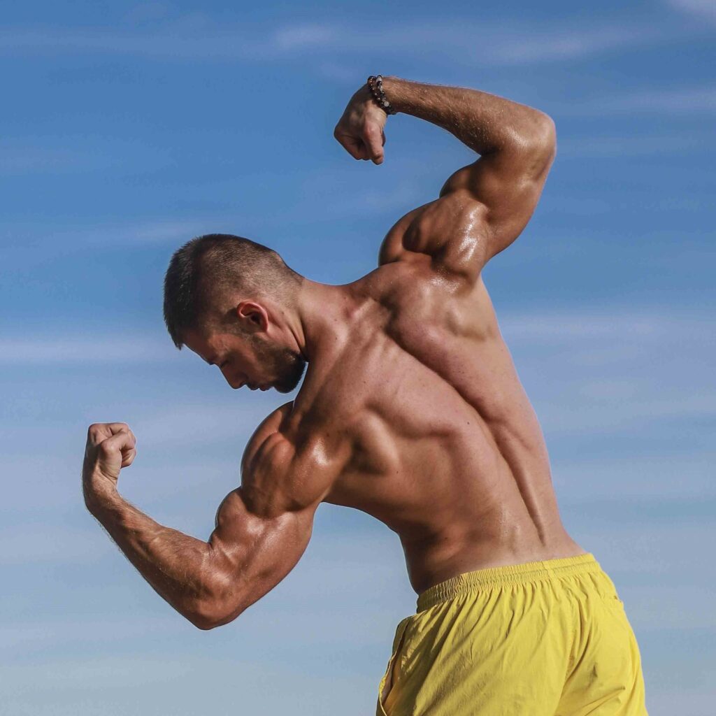 Athlète hybride musculation